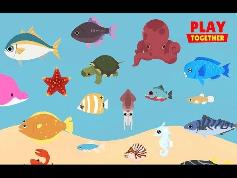Khung giờ câu cá trong Play Together là gì?